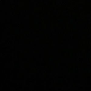 Meet your Posher, Brice